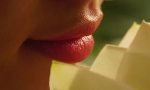 exemple de lèvres repulpes parfaitement hydratés